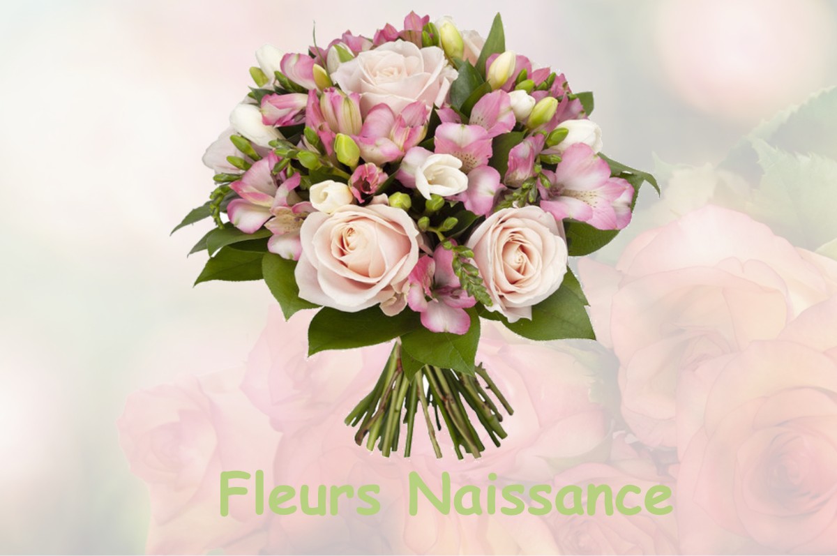 fleurs naissance SAINT-JACQUES-D-ALIERMONT